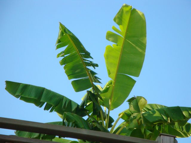 DSC02063