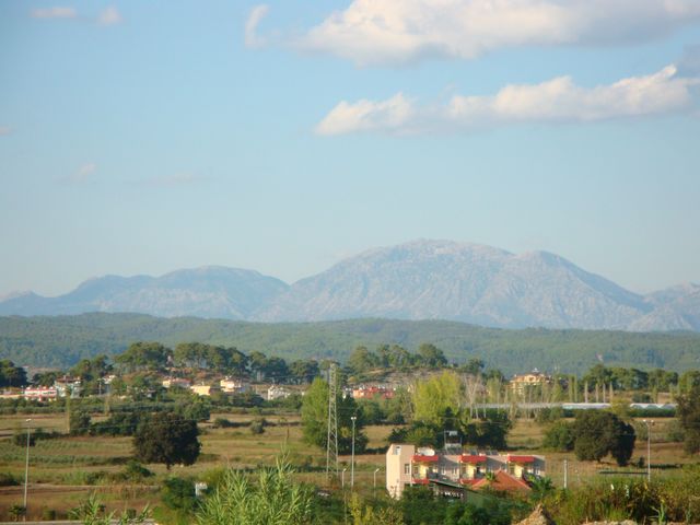 DSC02274