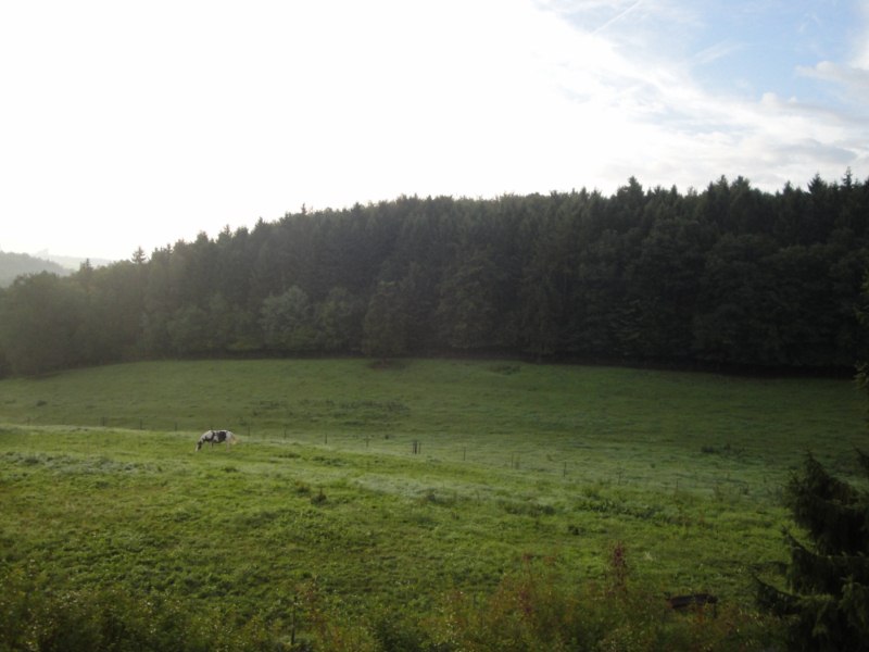 DSC02039