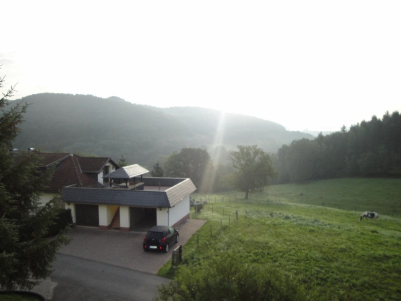 DSC02040